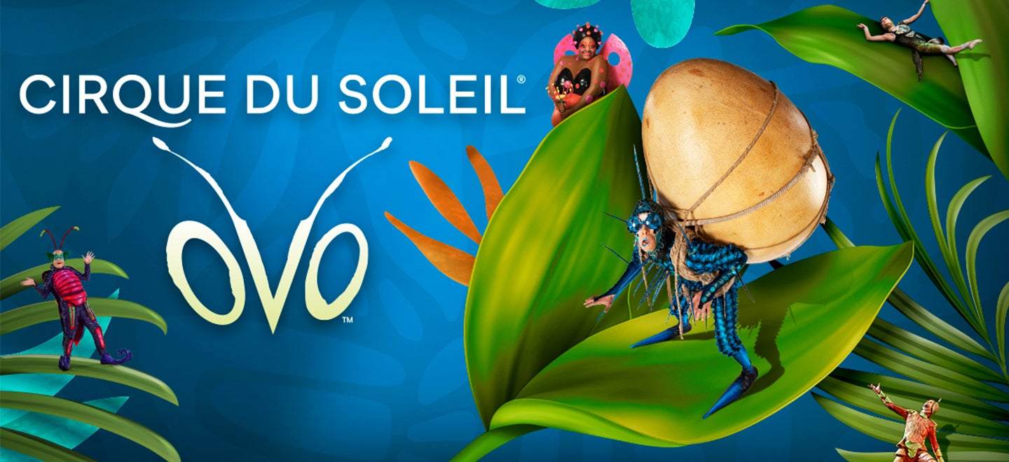 More Info for Cirque Du Soleil Ovo